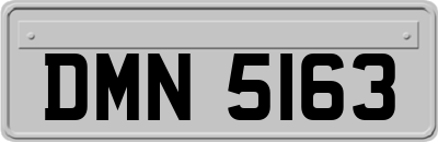 DMN5163