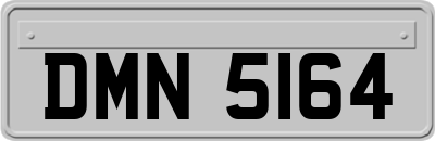 DMN5164