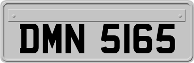 DMN5165