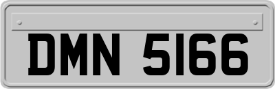 DMN5166