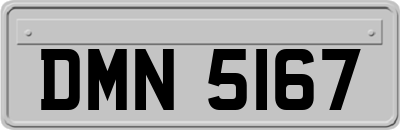 DMN5167
