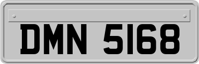 DMN5168