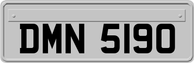 DMN5190