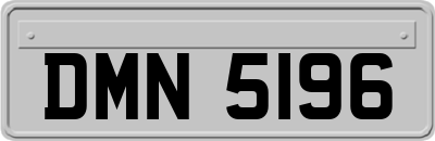 DMN5196