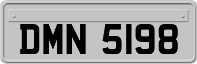 DMN5198
