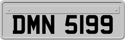 DMN5199