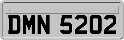 DMN5202