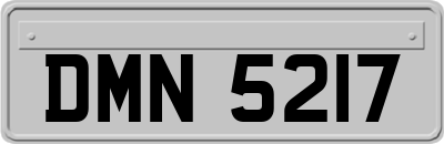 DMN5217
