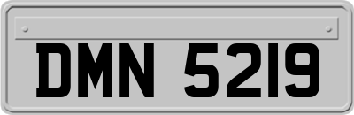 DMN5219