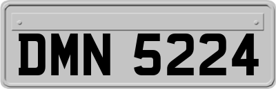 DMN5224