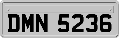 DMN5236