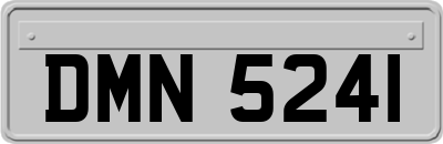 DMN5241