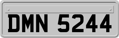 DMN5244