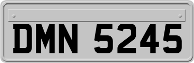 DMN5245