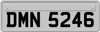 DMN5246