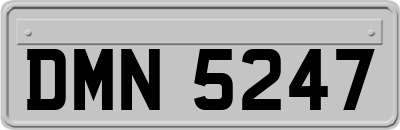 DMN5247
