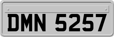 DMN5257