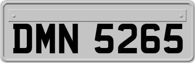 DMN5265