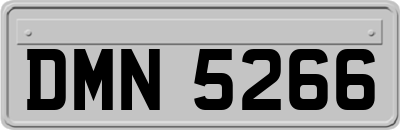 DMN5266