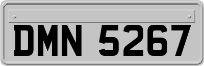 DMN5267