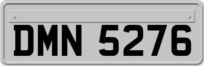 DMN5276