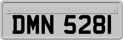 DMN5281