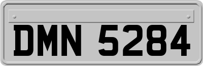 DMN5284