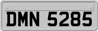 DMN5285