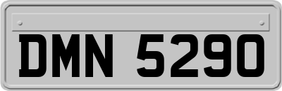 DMN5290