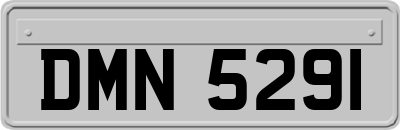 DMN5291