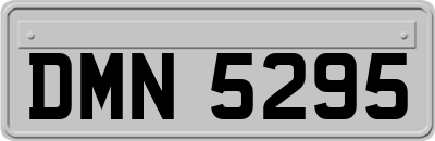 DMN5295