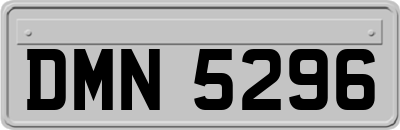 DMN5296
