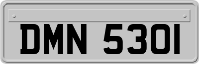 DMN5301