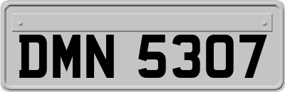 DMN5307