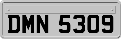 DMN5309