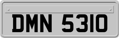 DMN5310