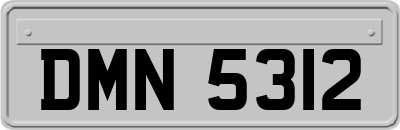 DMN5312