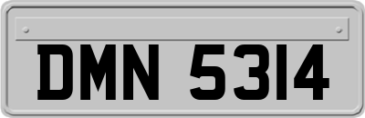 DMN5314