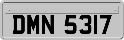 DMN5317