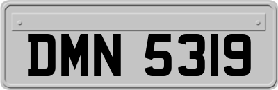 DMN5319