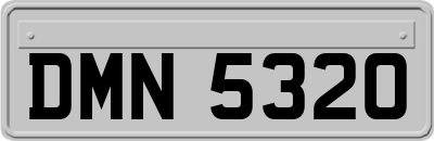 DMN5320