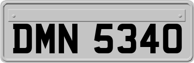 DMN5340