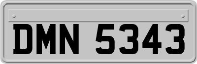 DMN5343