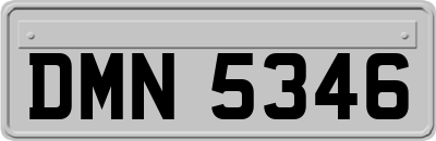 DMN5346