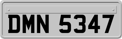 DMN5347