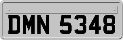 DMN5348