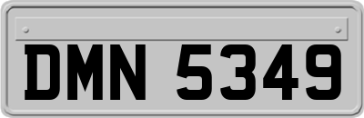 DMN5349
