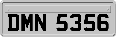 DMN5356