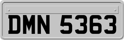 DMN5363