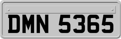 DMN5365